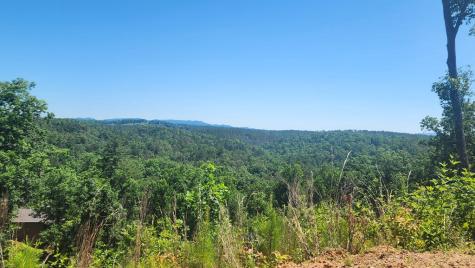 Lot 112 Jakes Landing Overlook Ellijay GA 30540