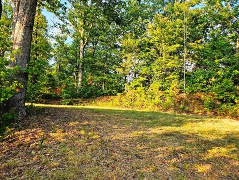Lot 45 Timberwood Drive Marble NC 28905