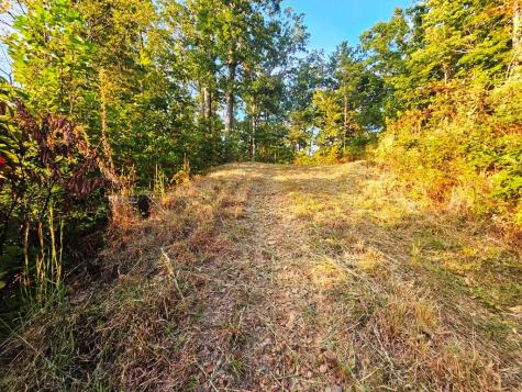 Lot 45 Timberwood Drive Marble NC 28905