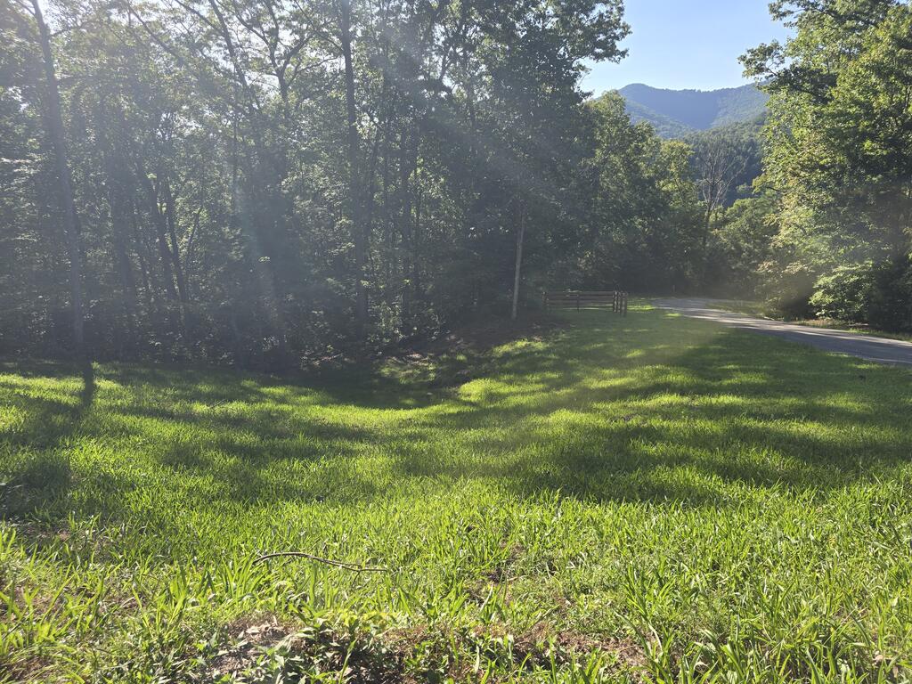 Lot 8 Wolfpen Gap Road Hiawassee GA 30546