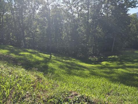 Lot 8 Wolfpen Gap Road Hiawassee GA 30546