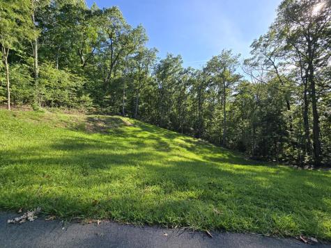 Lot 8 Wolfpen Gap Road Hiawassee GA 30546
