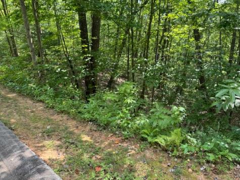 14 Abbott Mill Road Ellijay GA 30540