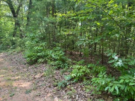 14 Abbott Mill Road Ellijay GA 30540