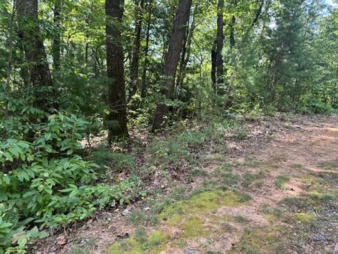 14 Abbott Mill Road Ellijay GA 30540