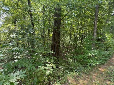 14 Abbott Mill Road Ellijay GA 30540