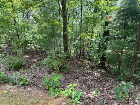 14 Abbott Mill Road Ellijay GA 30540