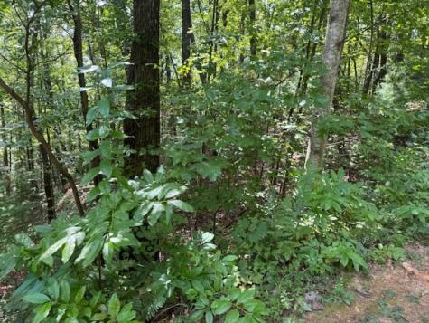 14 Abbott Mill Road Ellijay GA 30540