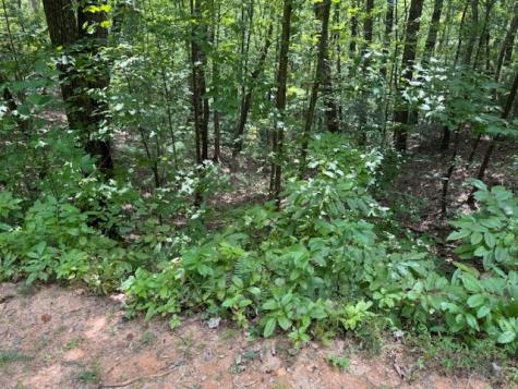14 Abbott Mill Road Ellijay GA 30540