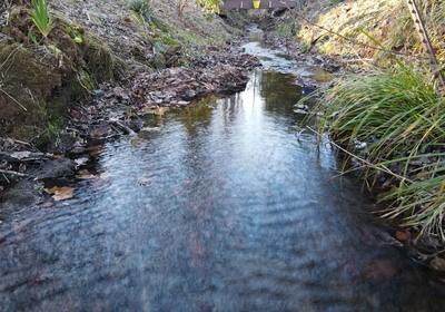 147 Flora Lane Blairsville GA 30512