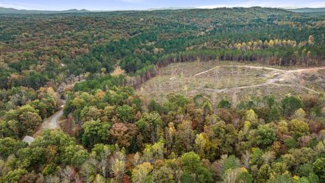 Lot 49 Lower Creek Trail Ellijay GA 30540