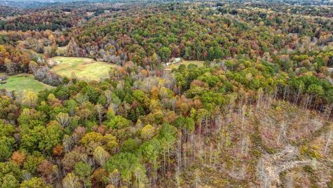 Lot 49 Lower Creek Trail Ellijay GA 30540