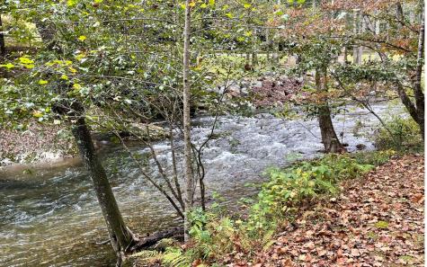 Lot 44 Fires Creek Cove Road Hayesville NC 28904