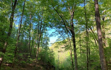 Lot 44 Fires Creek Cove Road Hayesville NC 28904