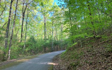Lot 44 Fires Creek Cove Road Hayesville NC 28904