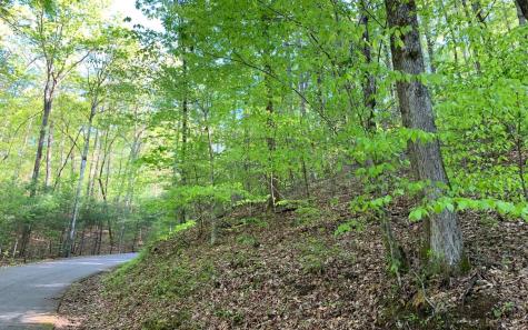 Lot 44 Fires Creek Cove Road Hayesville NC 28904