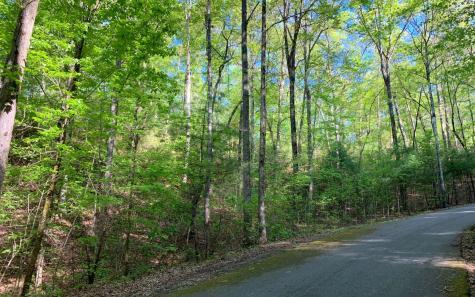 Lot 44 Fires Creek Cove Road Hayesville NC 28904