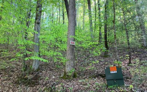 Lot 44 Fires Creek Cove Road Hayesville NC 28904