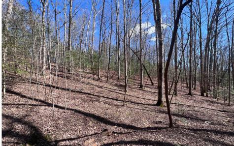 Lt 22 E Goldmine Road Ellijay GA 30536