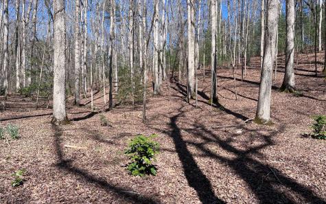 Lt 22 E Goldmine Road Ellijay GA 30536