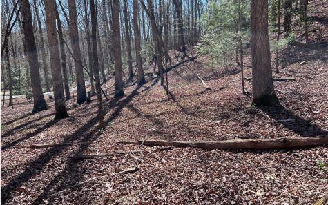 Lt 22 E Goldmine Road Ellijay GA 30536