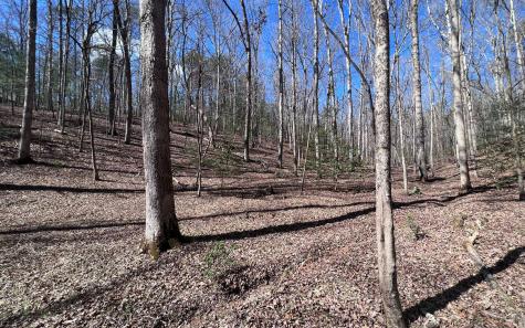 Lt 22 E Goldmine Road Ellijay GA 30536