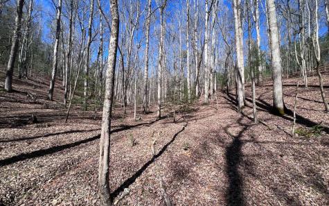 Lt 22 E Goldmine Road Ellijay GA 30536