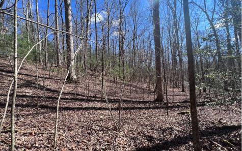 Lt 22 E Goldmine Road Ellijay GA 30536