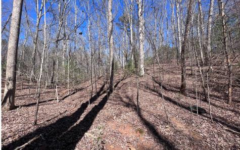 Lt 22 E Goldmine Road Ellijay GA 30536
