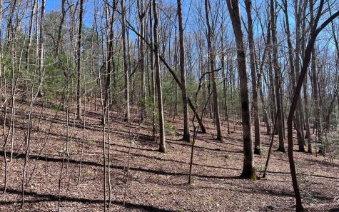 Lt 22 E Goldmine Road Ellijay GA 30536