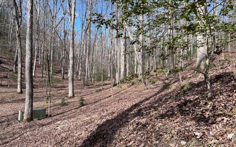 Lt 22 E Goldmine Road Ellijay GA 30536