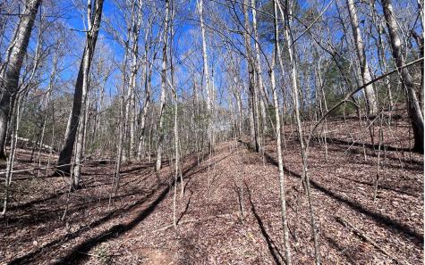 Lt 22 E Goldmine Road Ellijay GA 30536
