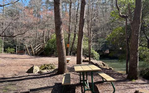 Lt 22 E Goldmine Road Ellijay GA 30536