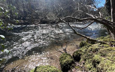 Lt 22 E Goldmine Road Ellijay GA 30536