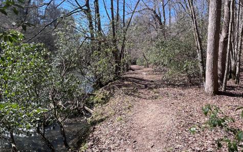 Lt 22 E Goldmine Road Ellijay GA 30536