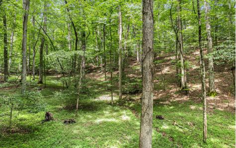 Lt 22 E Goldmine Road Ellijay GA 30536
