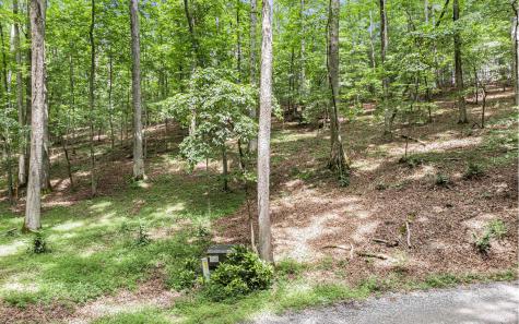 Lt 22 E Goldmine Road Ellijay GA 30536