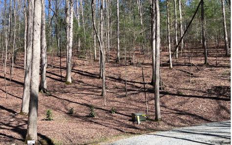 Lt 22 E Goldmine Road Ellijay GA 30536