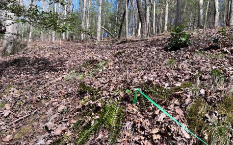 Lt 22 E Goldmine Road Ellijay GA 30536