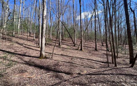 Lt 22 E Goldmine Road Ellijay GA 30536