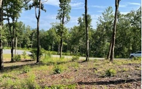 119 Highland Park Blairsville GA 30512