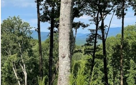 119 Highland Park Blairsville GA 30512