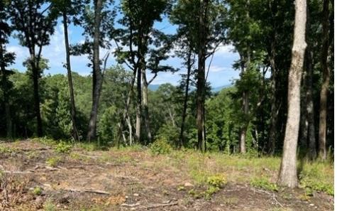 119 Highland Park Blairsville GA 30512