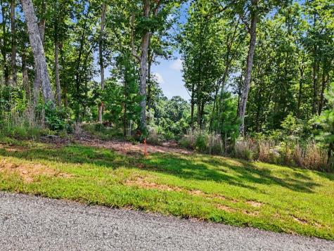 Lot 119 Highland Park Blairsville GA 30512