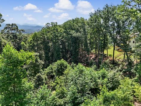 Lot 119 Highland Park Blairsville GA 30512