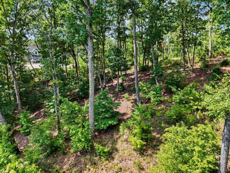 Lot 119 Highland Park Blairsville GA 30512