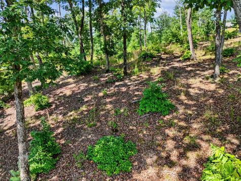 Lot 119 Highland Park Blairsville GA 30512
