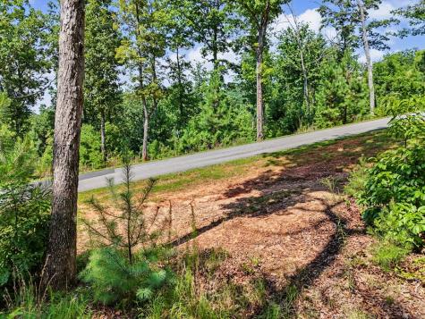 Lot 119 Highland Park Blairsville GA 30512