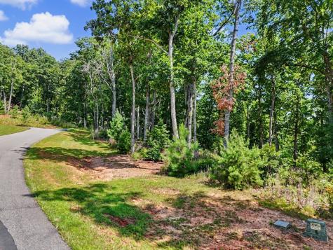 Lot 119 Highland Park Blairsville GA 30512