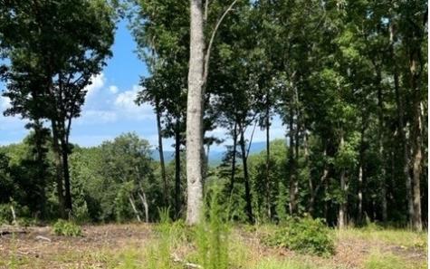 119 Highland Park Blairsville GA 30512